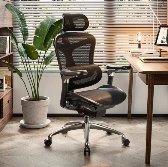 SIHOO Doro C300 – Advanced Ergonomic Office Chair Review