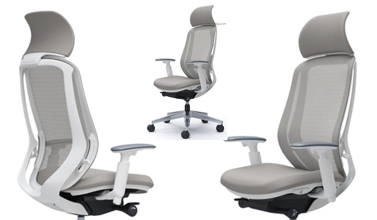 Sylphy_Lumbar_Back_S.jpg