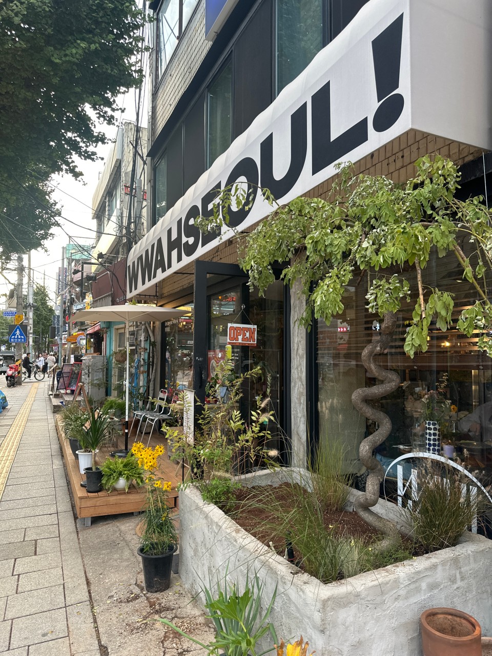 A New Lunch Break Ritual in Seoul's Hannam-dong: Premium Chair Showroom Meets Coffee Break