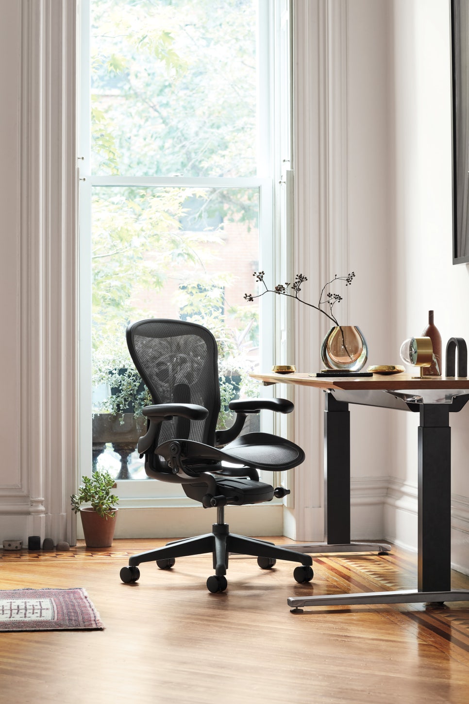Visit CHAIRPARK Ilsan: Try Herman Miller, Okamura & Premium Ergonomic Chairs in Northern Seoul