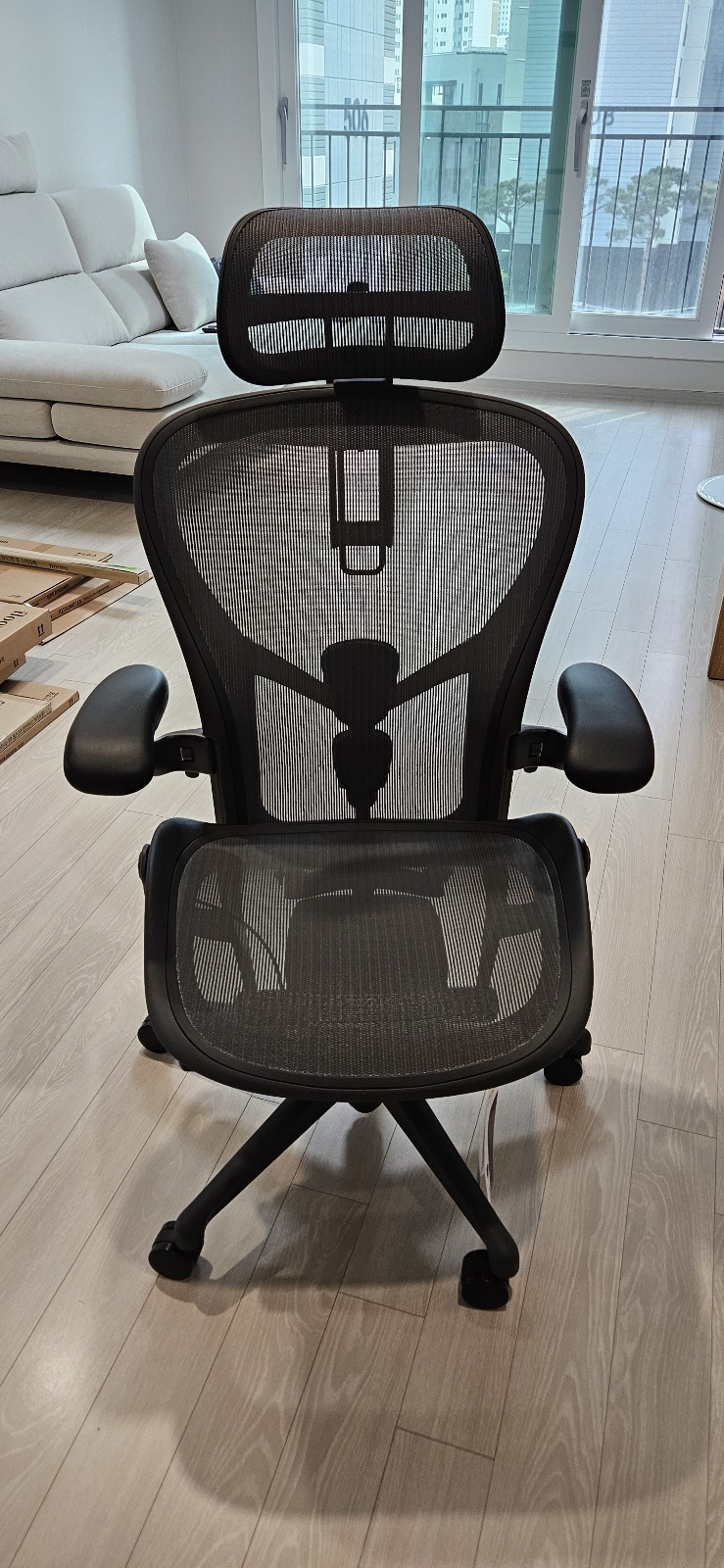 Best Mesh Office Chairs for Back Pain: Okamura Contessa vs. Herman Miller Aeron