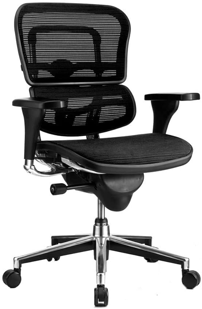 Ergohuman Classic1.jpg