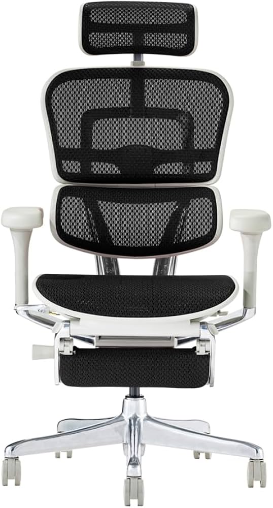 ergohuman pro1.jpg
