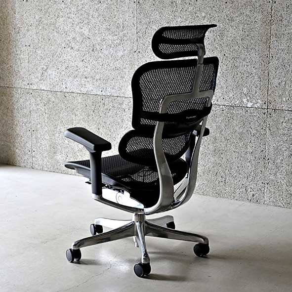 ergohuman pro2.jpg