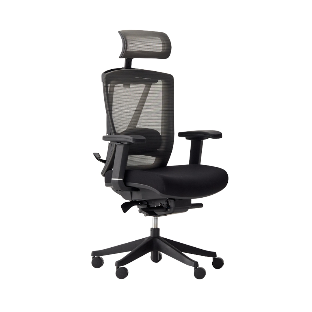 Autonomous ErgoChair Pro