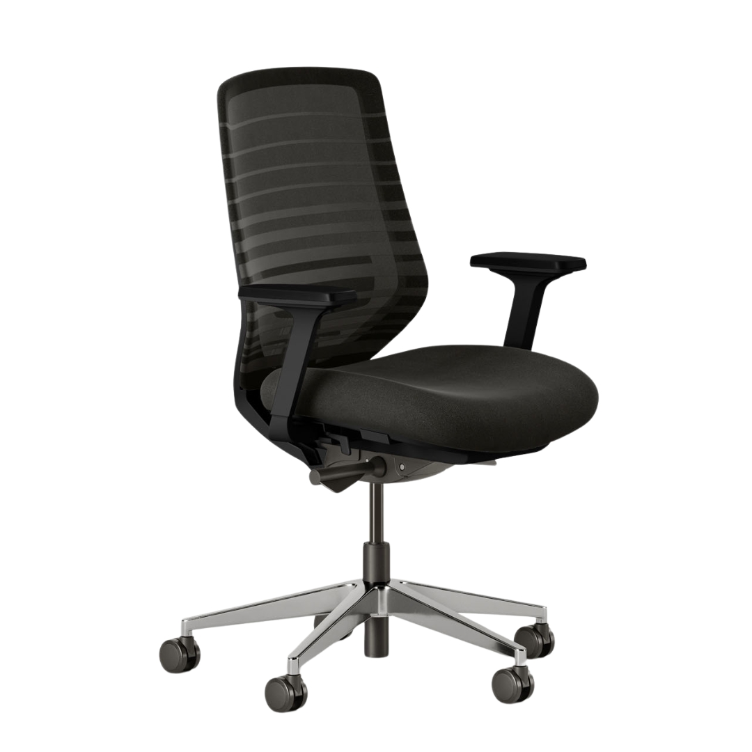 Branch Ergonomic Chair