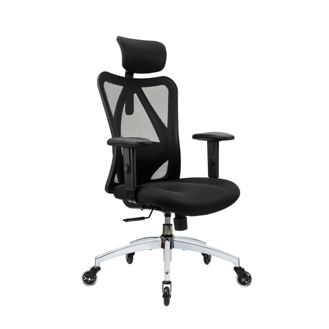 Duramont Ergonomic Office Chair