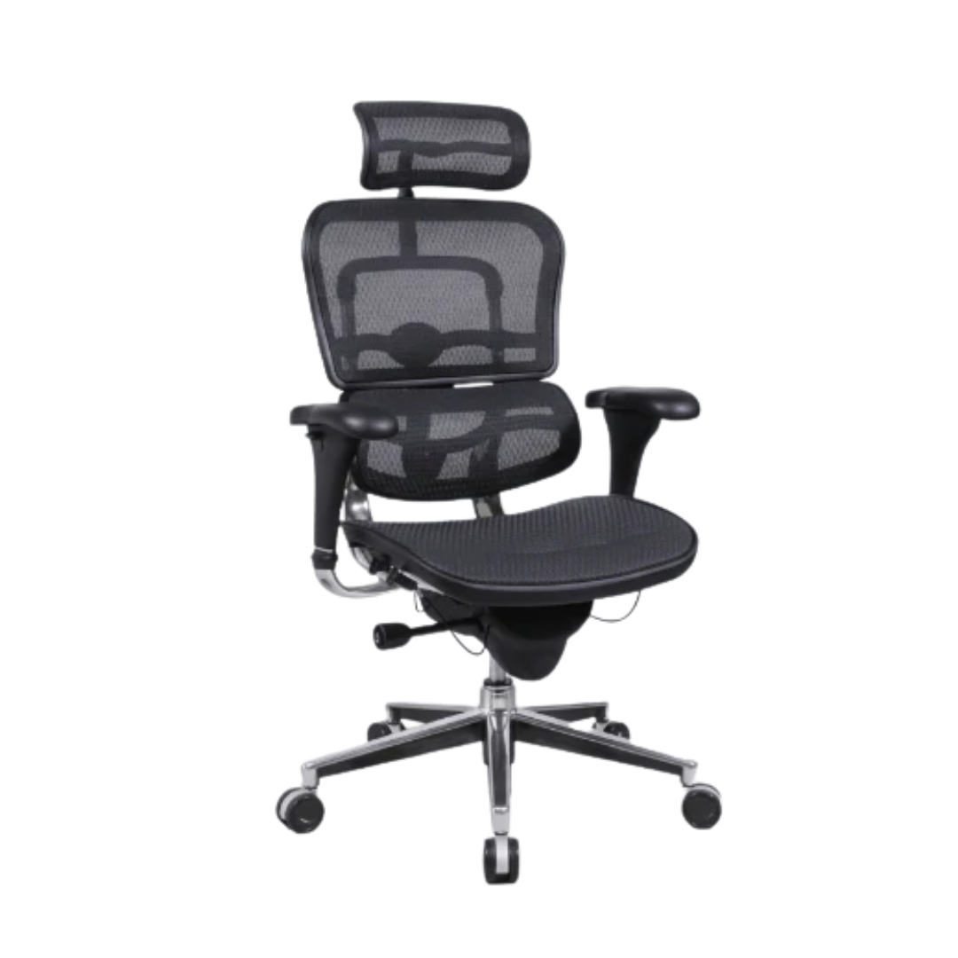 Ergohuman Classic