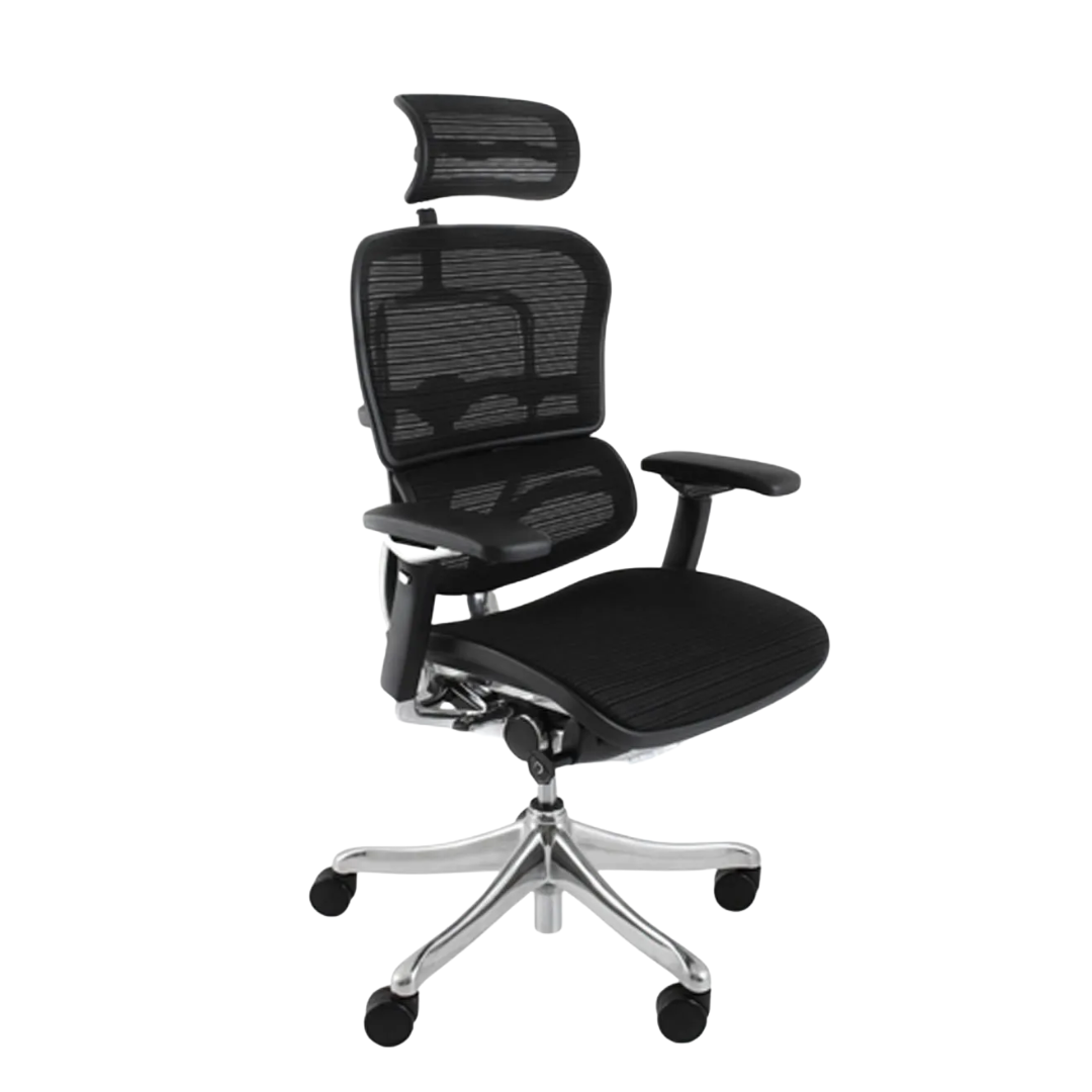 Ergohuman LX