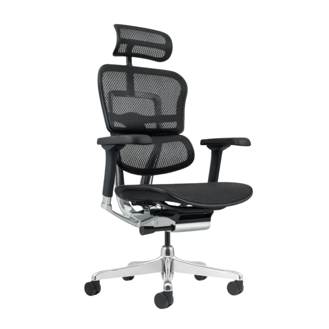 Ergohuman Plus