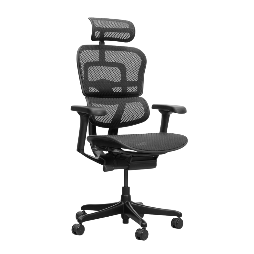Ergohuman Pro