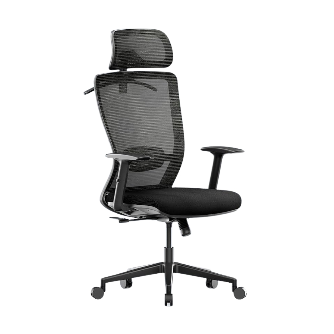 FlexiSpot OC3